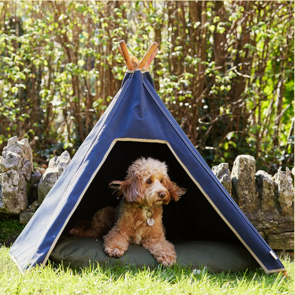 Foldaway Canvas Dog Teepee